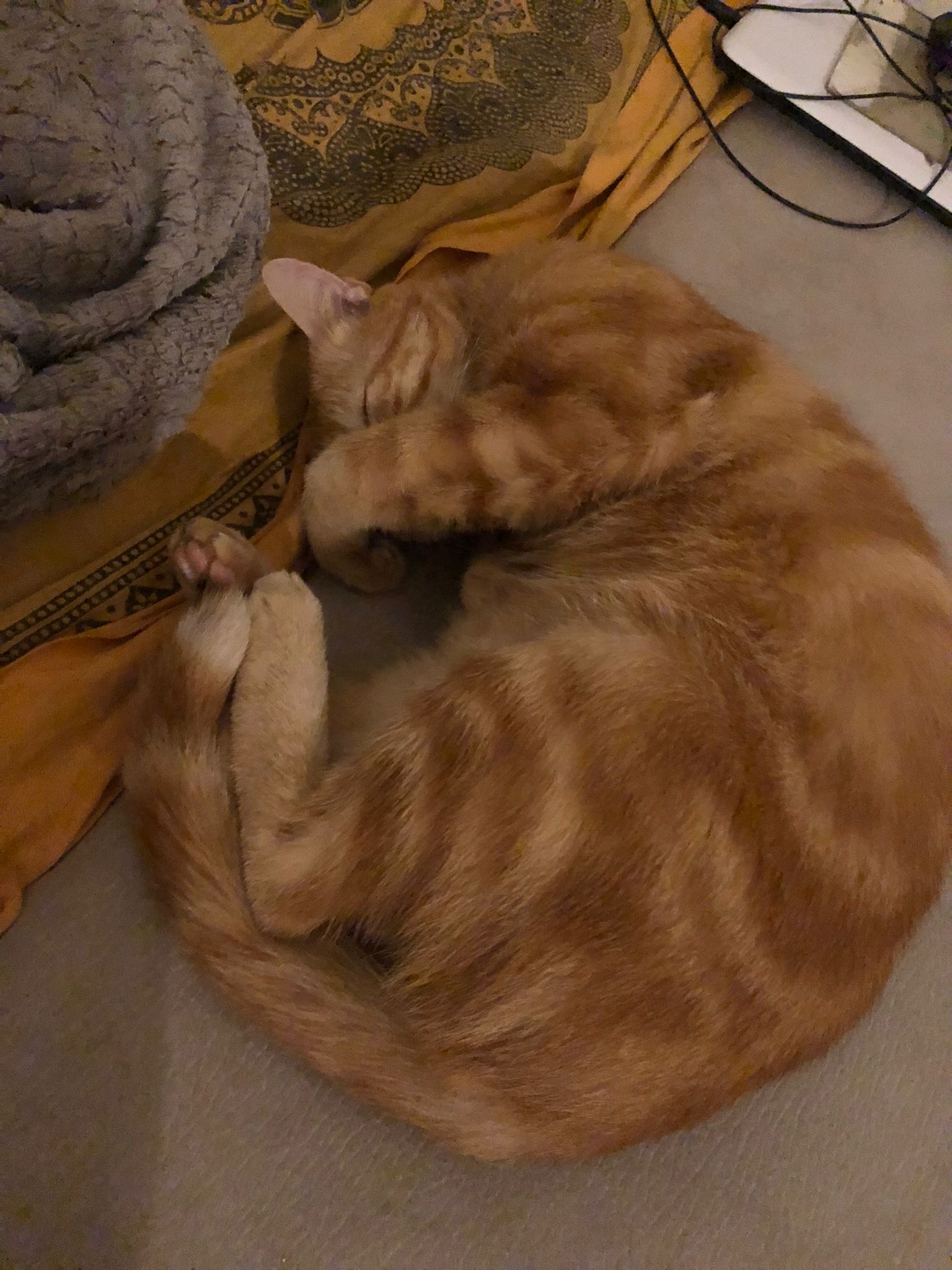 Nazir - Clavier - Liège | Plan Cul