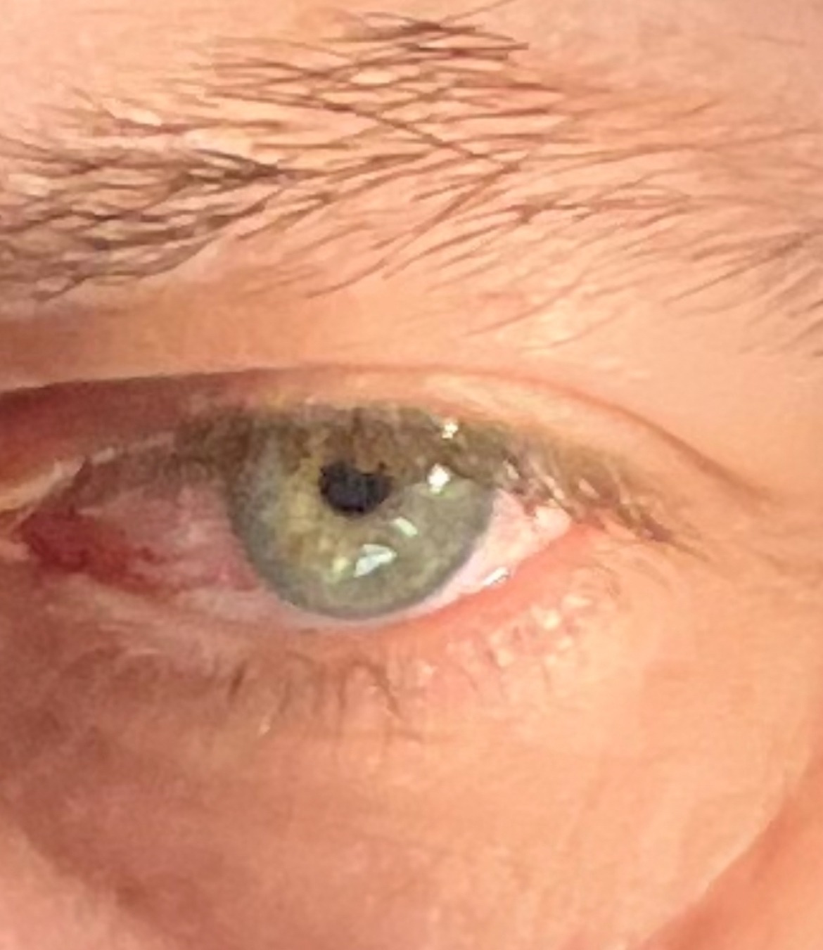 Nouri - Beauraing - Namur | Plan Cul