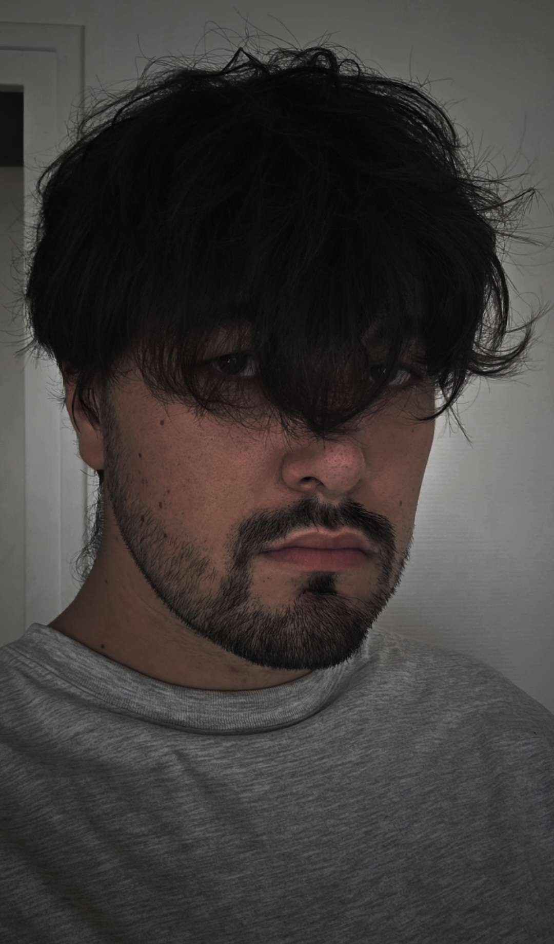 Mylane - Diepenbeek - Limbourg | Plan Cul